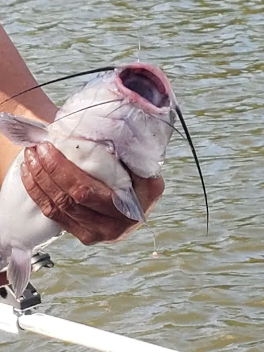 The Last Resort Picture 3