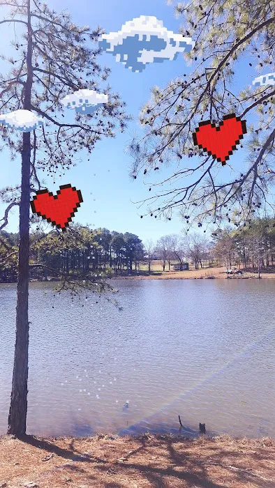 The Last Resort Picture 9