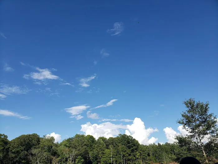 The Last Resort Picture 10