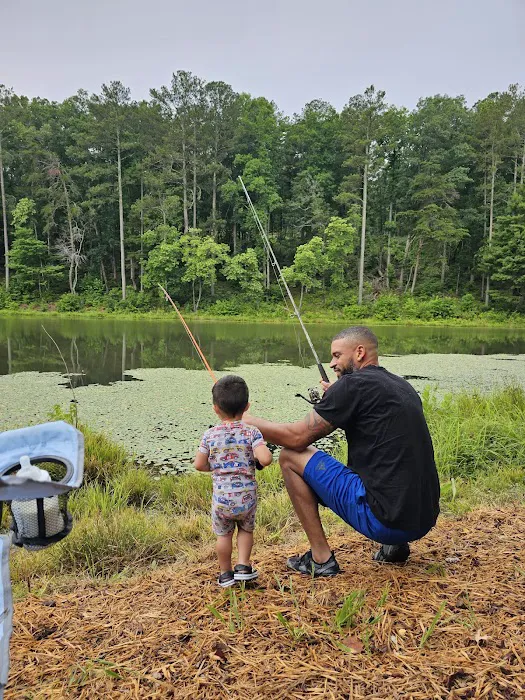 Lakeside Paradise Picture 8