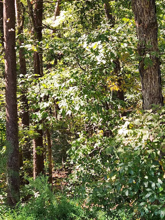 Salacoa Creek Park Picture 4