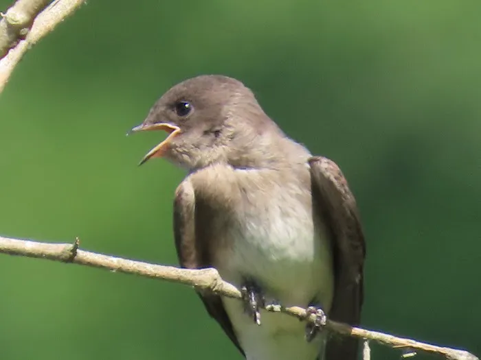 Salacoa Creek Park Picture 5