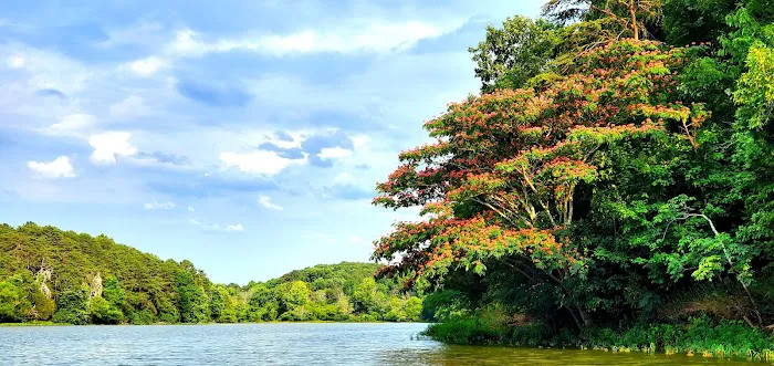 Salacoa Creek Park Picture 7