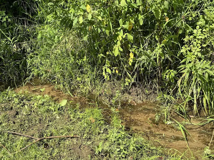 Blue Ridge Scenic RV Lot Picture 8