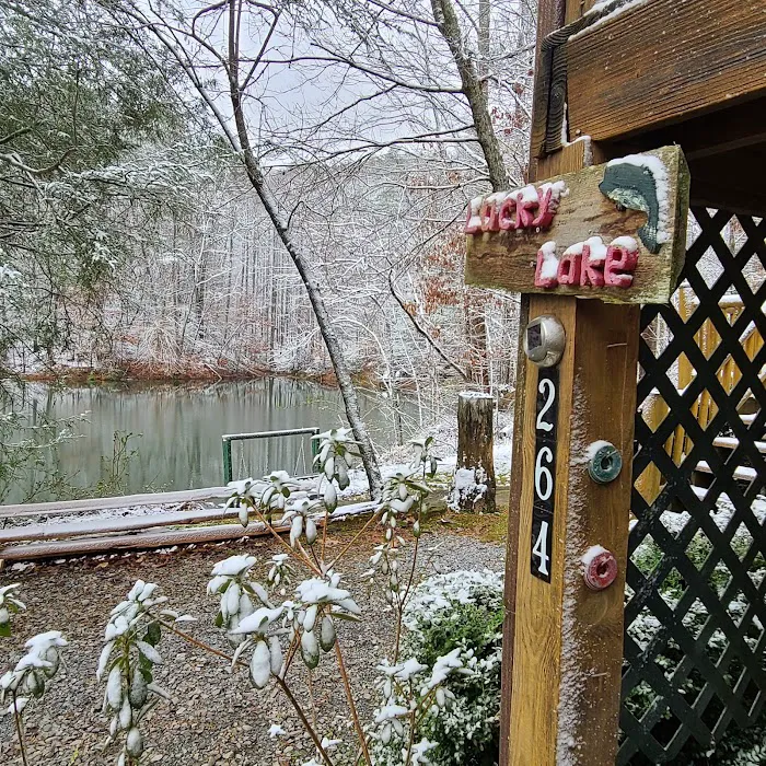 Lucky Lake Cabin Picture 4