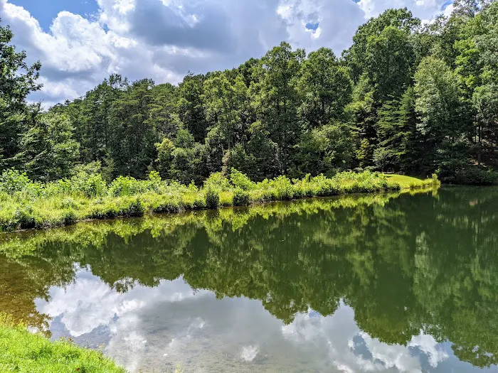 Lucky Lake Cabin Picture 5
