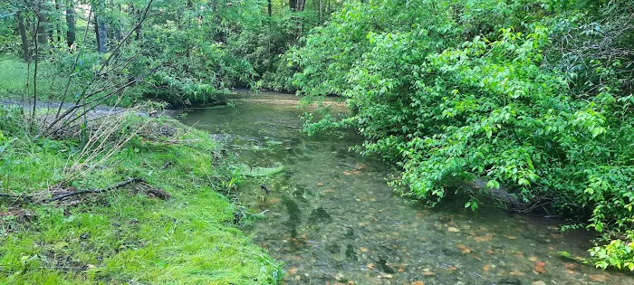 Harkins Creek Picture 1