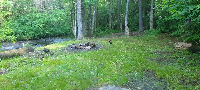 Harkins Creek Picture 2