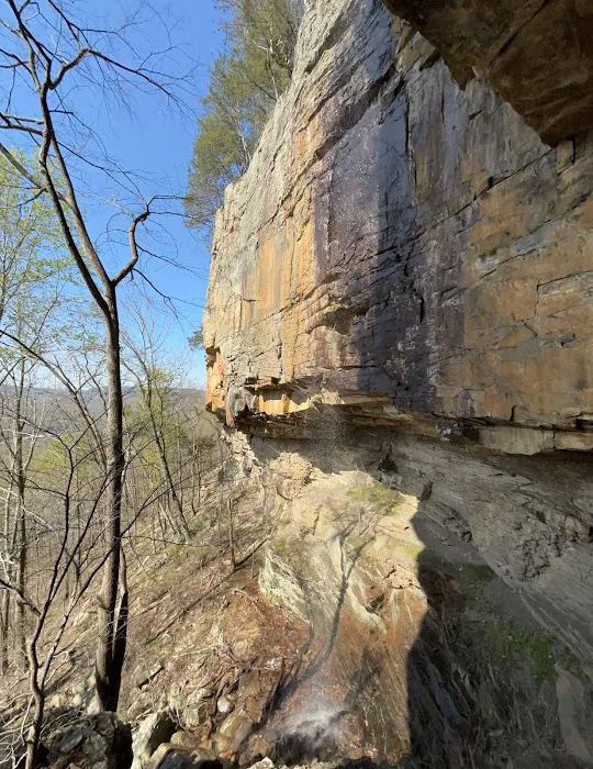 Prentice Cooper Primitive Campsite Picture 5