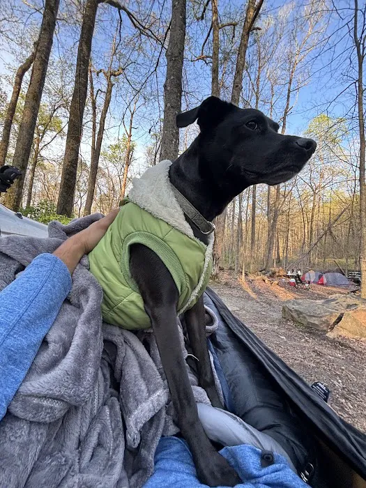 Prentice Cooper Primitive Campsite Picture 4