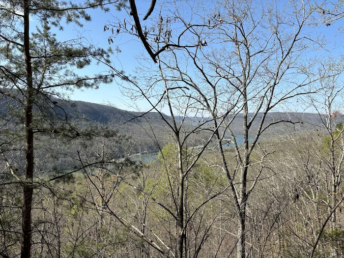 Prentice Cooper Primitive Campsite Picture 6