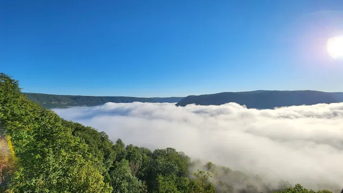 Prentice Cooper Primitive Campsite Picture 7