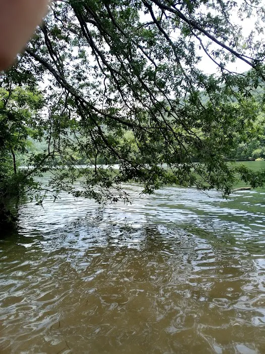 Prentice Cooper Primitive Campsite Picture 10