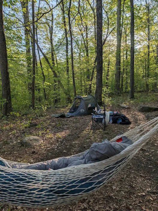 Prentice Cooper Primitive Campsite Picture 8