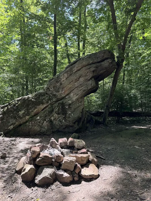 Prentice Cooper Primitive Campsite Picture 9