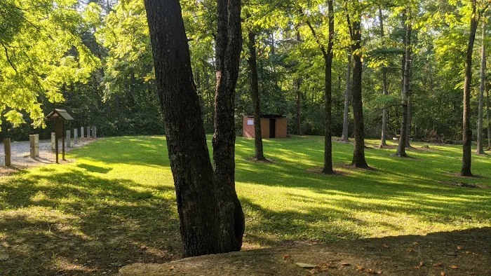 Davis Pond Picture 1