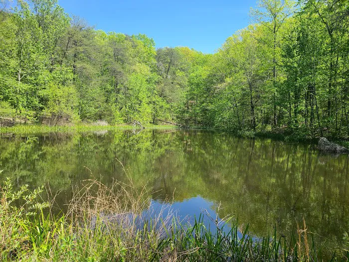 Davis Pond Picture 6