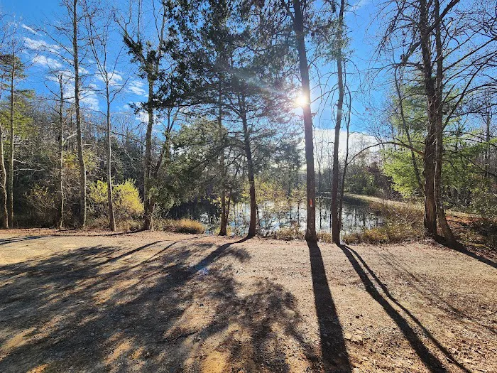 Davis Pond Picture 10