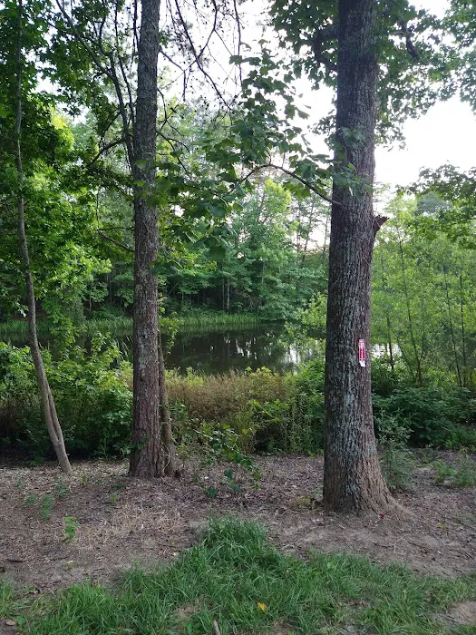 Davis Pond Picture 7