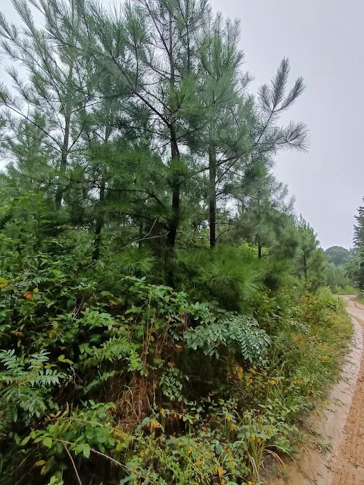 Davis Pond Picture 8