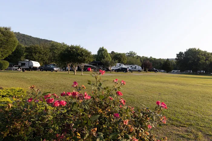 Raccoon Mountain Caverns and Campground Picture 8