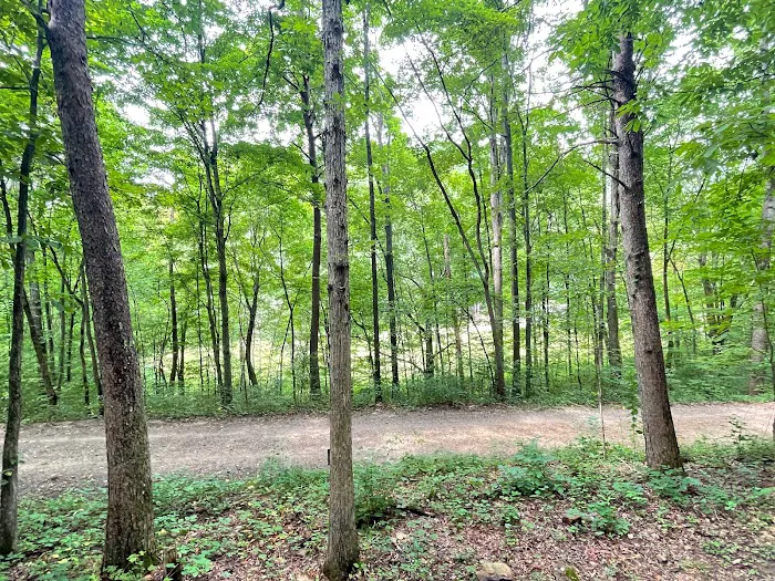 Running Water Creek Picture 6