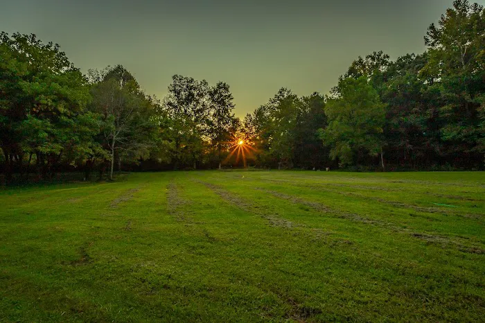 Running Water Creek Picture 9