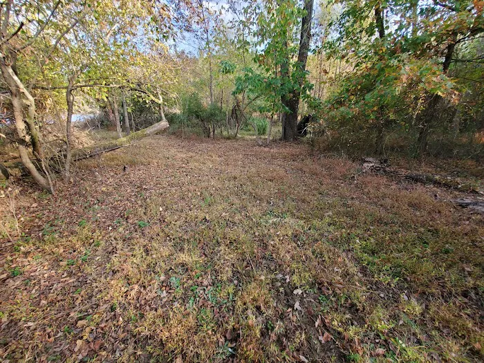 Oates Island Campsite Picture 2