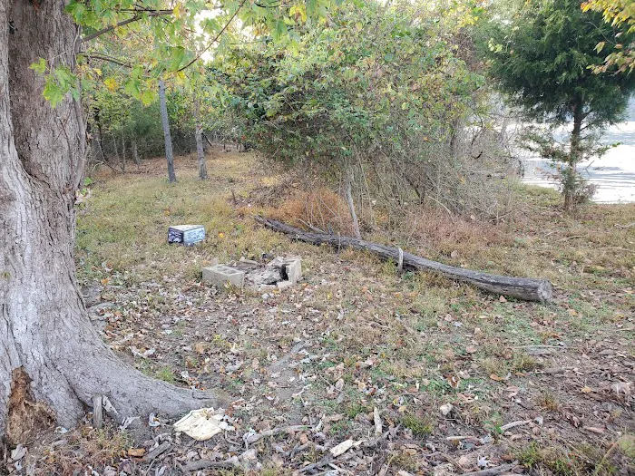 Oates Island Campsite Picture 1