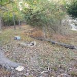 Oates Island Campsite