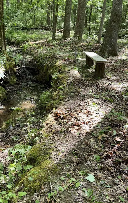 Wanderland Camping Picture 9