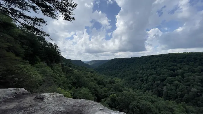 Foster Falls Campground Picture 4