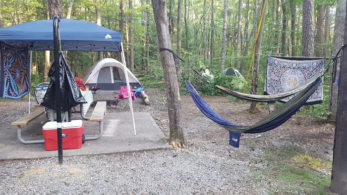 Foster Falls Campground Picture 6