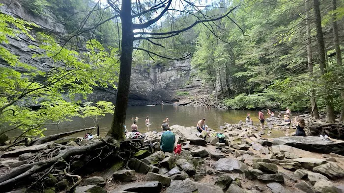 Foster Falls Campground Picture 9