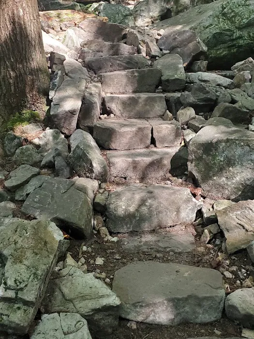 Foster Falls Campground Picture 2