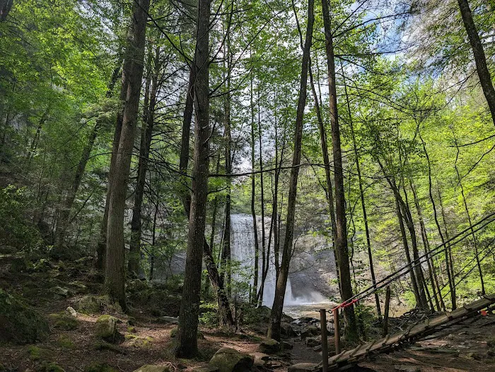 Foster Falls Campground Picture 7