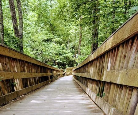 Foster Falls Campground