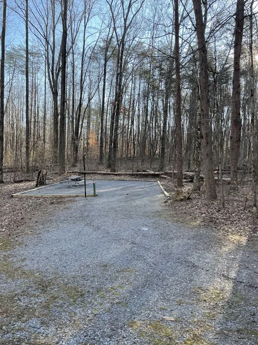 Foster Falls Campground Picture 10