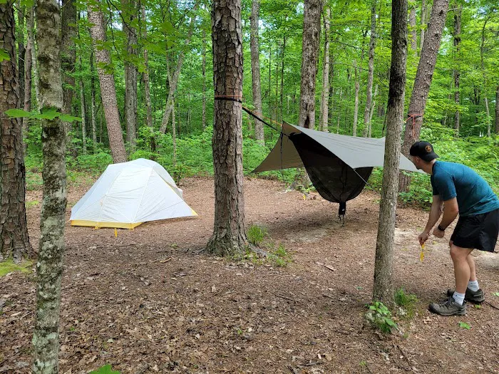 Small Wilds Campground Picture 2