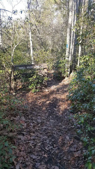 Small Wilds Campground Picture 3