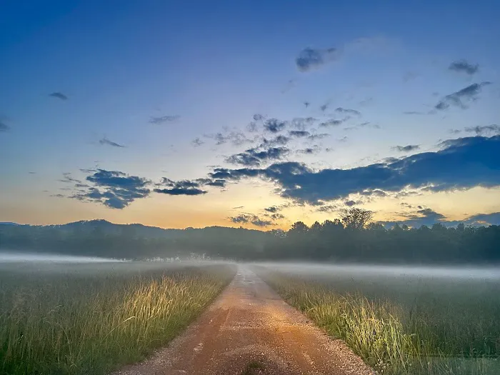 Blue Moon Campground Picture 1