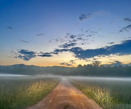 Blue Moon Campground