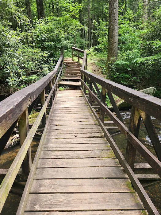 Bear Creek Campground Picture 1