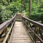 Bear Creek Campground