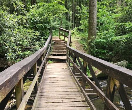 Bear Creek Campground