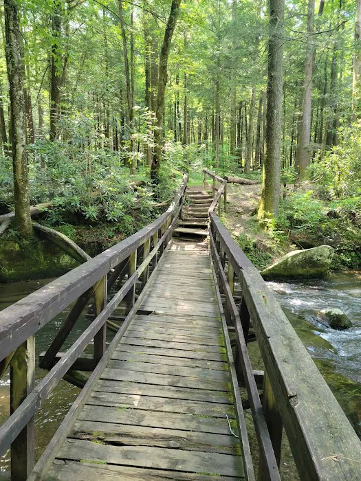 Bear Creek Campground Picture 8