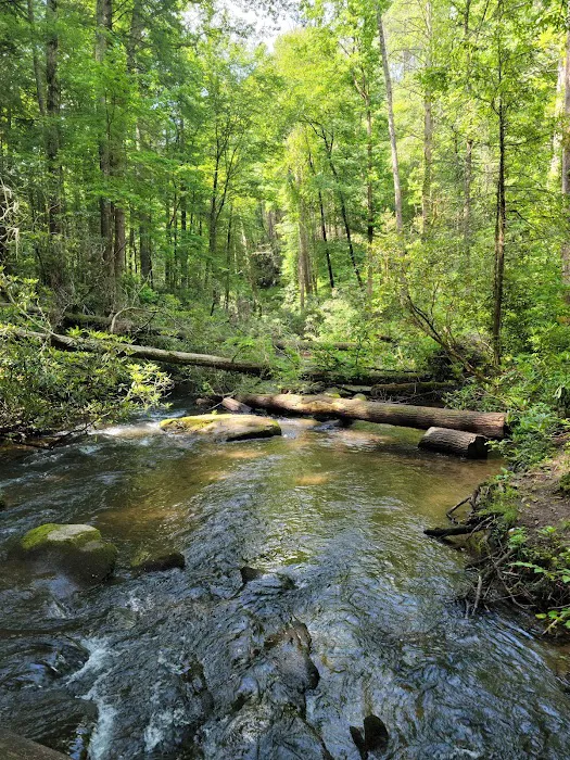 Bear Creek Campground Picture 9