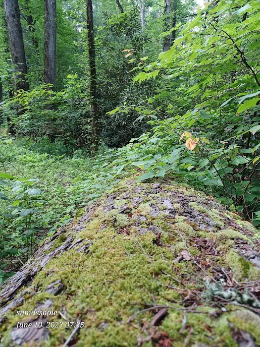 Bear Creek Campground Picture 7