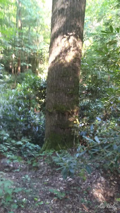 Bear Creek Campground Picture 6