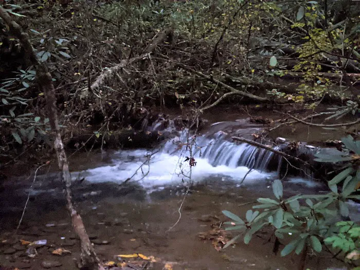 Bear Creek Campground Picture 4